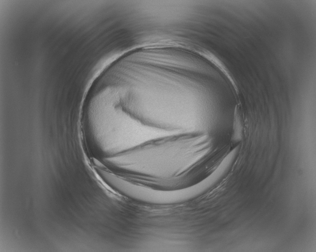 X0000055251485200509071602.png