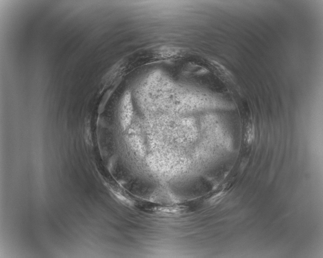 X0000054300524200508042313.png