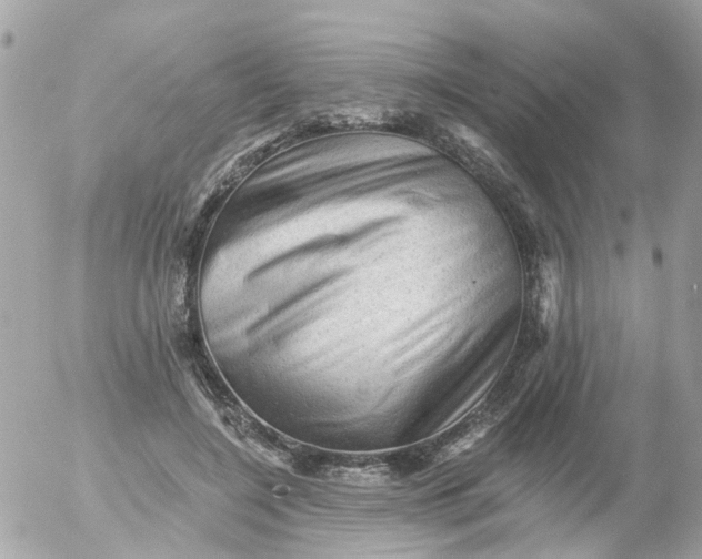 X0000055070548200508232331.png