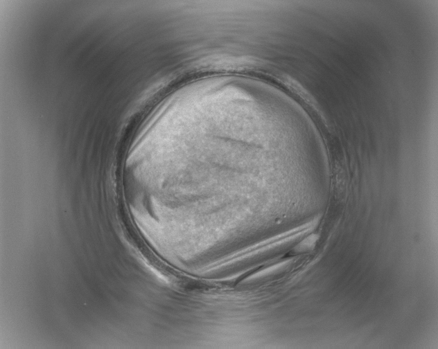 X0000054270581200508261918.png