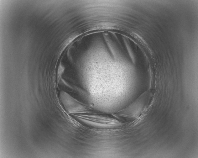 X0000054301081200508042304.png