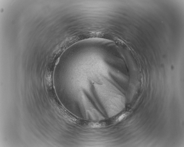 X0000055070613200508232330.png