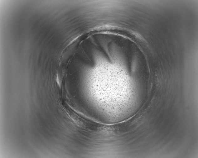 X0000054301217200508042301.png