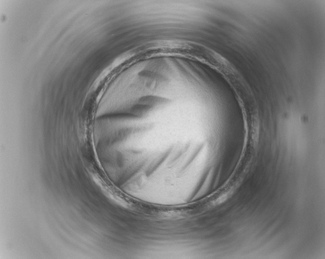X0000055071017200508232323.png