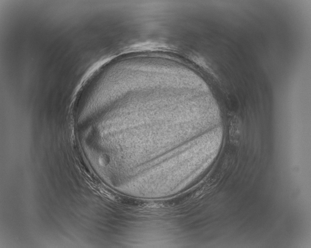 X0000055211358200508301311.png