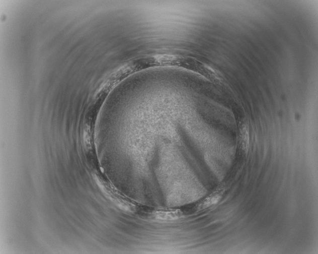 X0000055070571200508232332.png