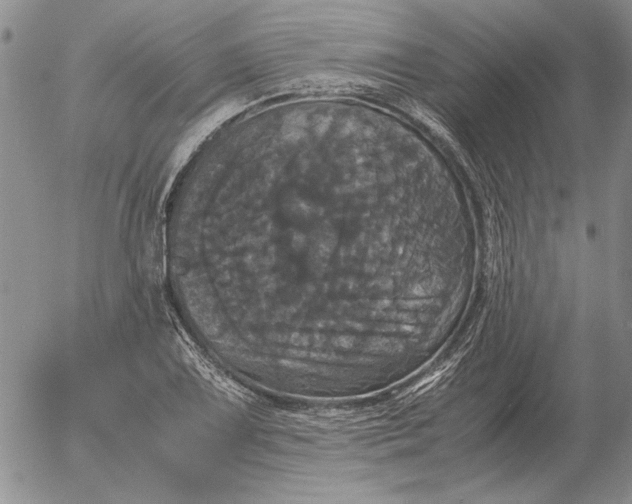 X0000054171075200508101754.png