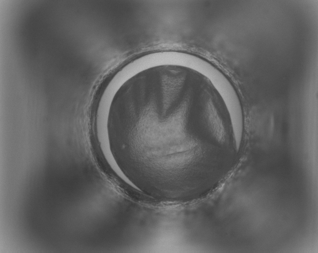 X0000048230055200504061220.png