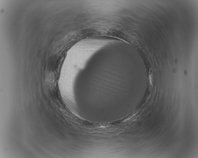 X0000054171347200508101749.png