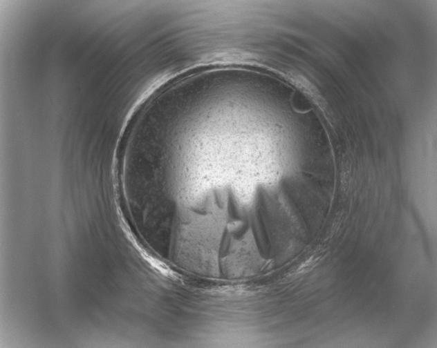 X0000054300990200508042305.png