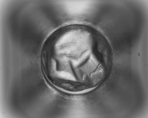 X0000045271433200502071538.png