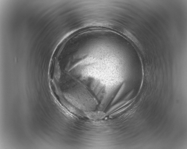 X0000054301028200508042305.png