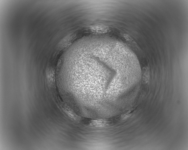 X0000054300713200508042310.png