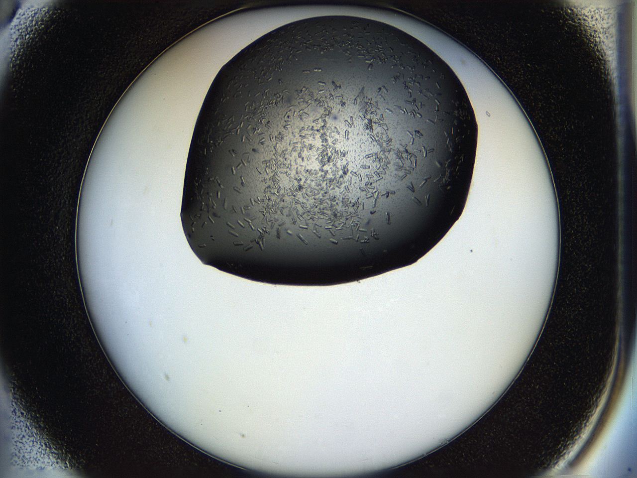 05hl_A5_ImagerDefaults_7.jpg