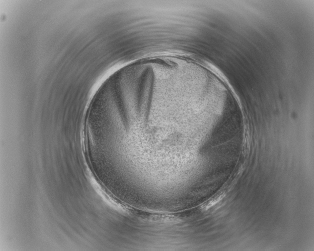 X0000055070811200508232327.png