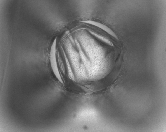 X0000048230768200504061210.png