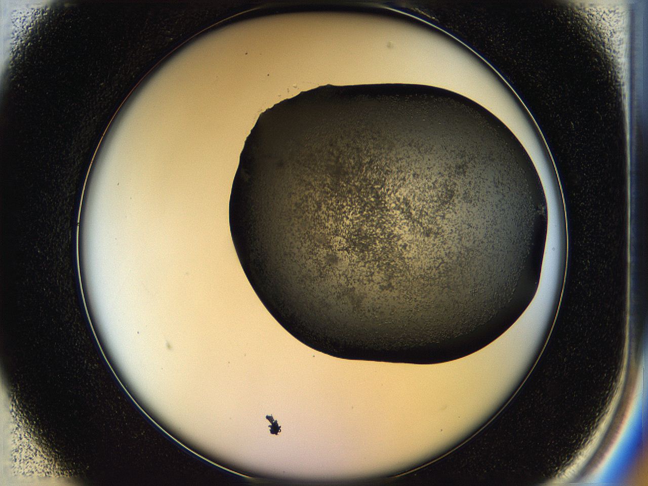 05hl_B1_ImagerDefaults_6.jpg
