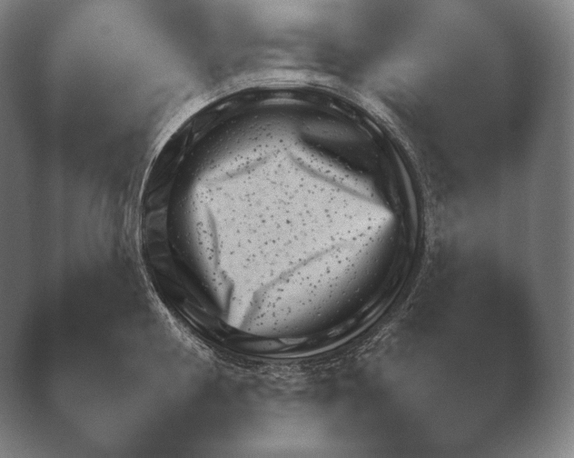 X0000038851194200410131820.png