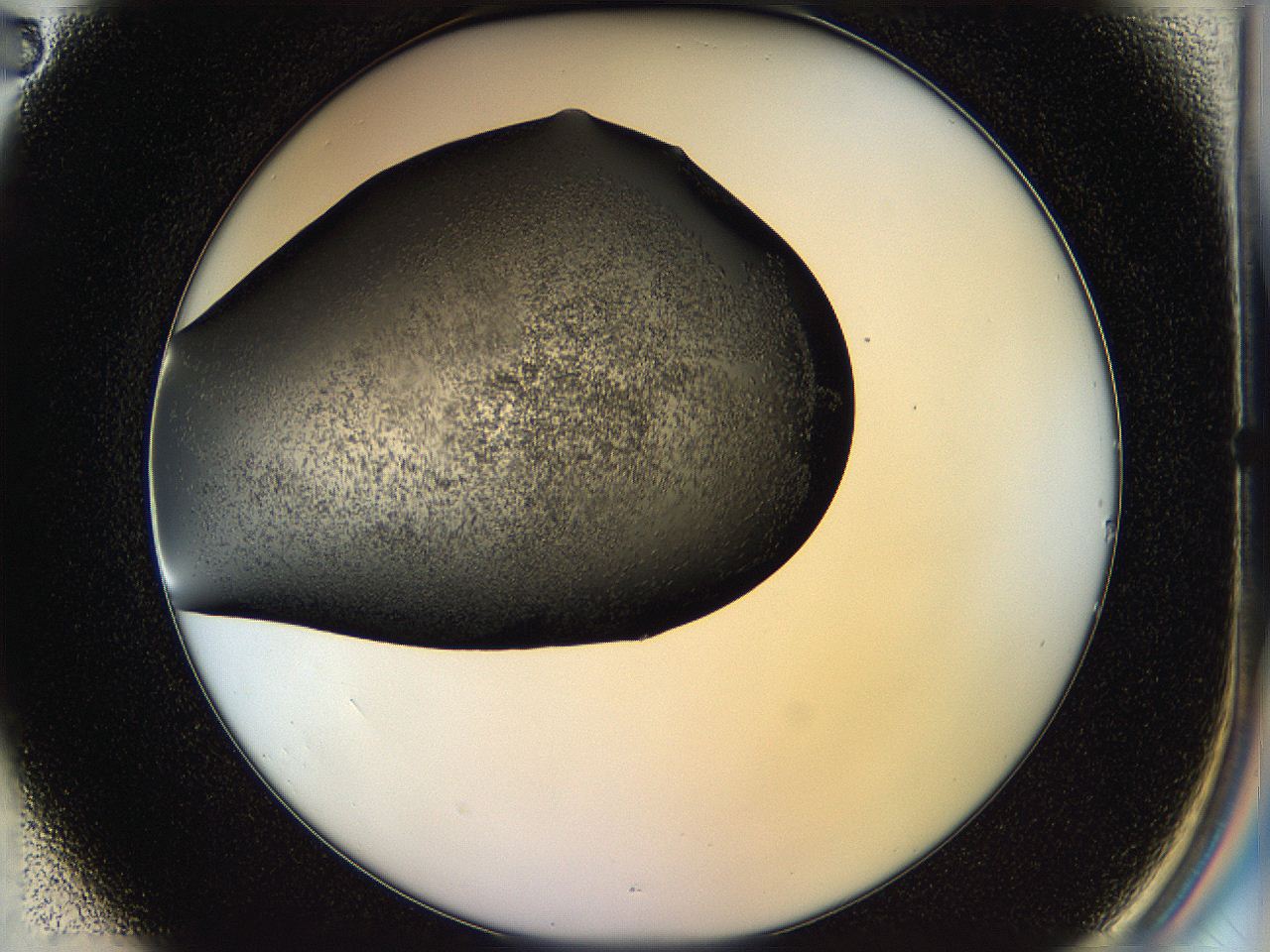 05hl_B2_ImagerDefaults_6.jpg