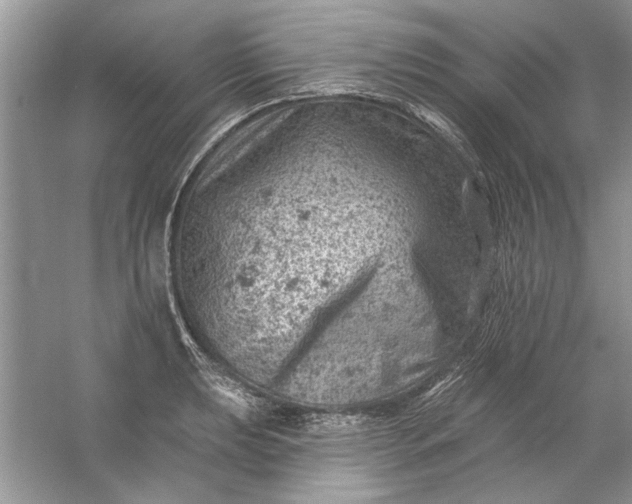 X0000054301039200508042305.png