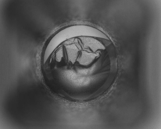 X0000045460008200502081431.png