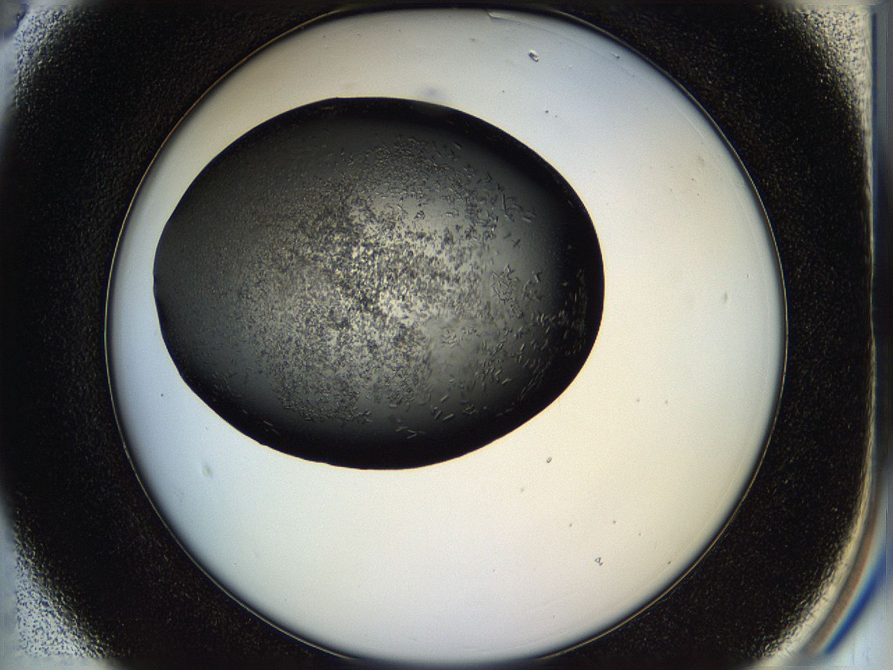 05hl_B3_ImagerDefaults_7.jpg