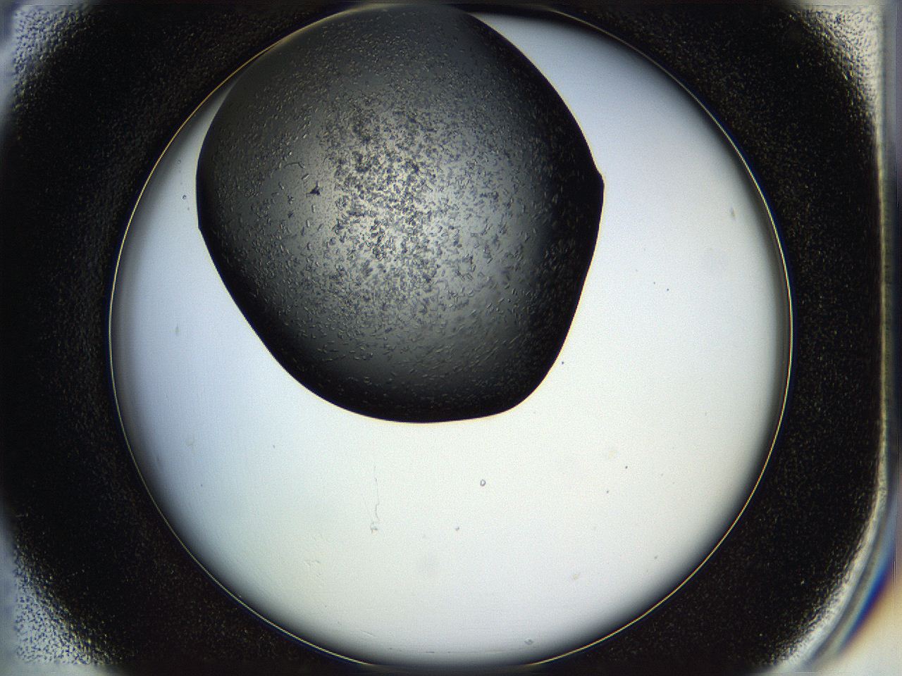 05hl_B4_ImagerDefaults_6.jpg