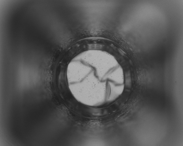 X0000047500651200503161514.png