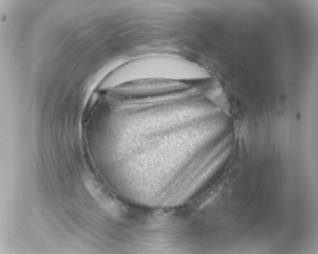 X0000055070148200508232337.png