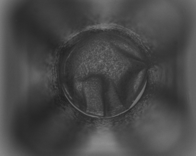 X0000044231158200501101631.png