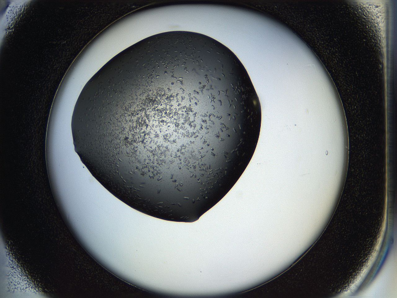 05hl_B5_ImagerDefaults_7.jpg