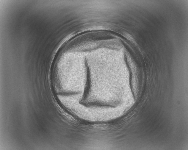 X0000054271181200508261908.png