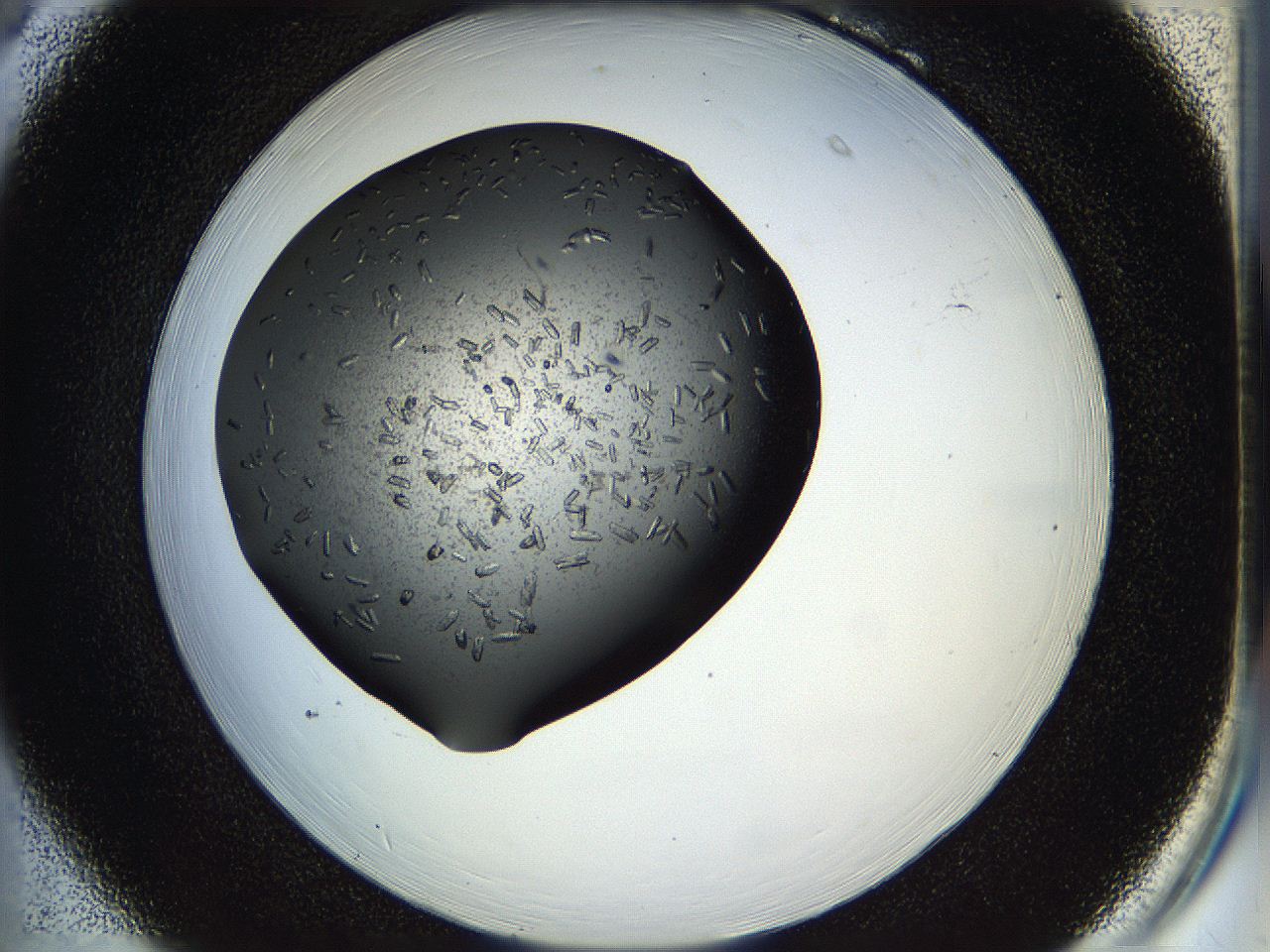 05hl_B6_ImagerDefaults_8.jpg