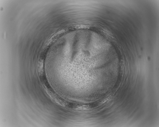 X0000055070550200508232331.png