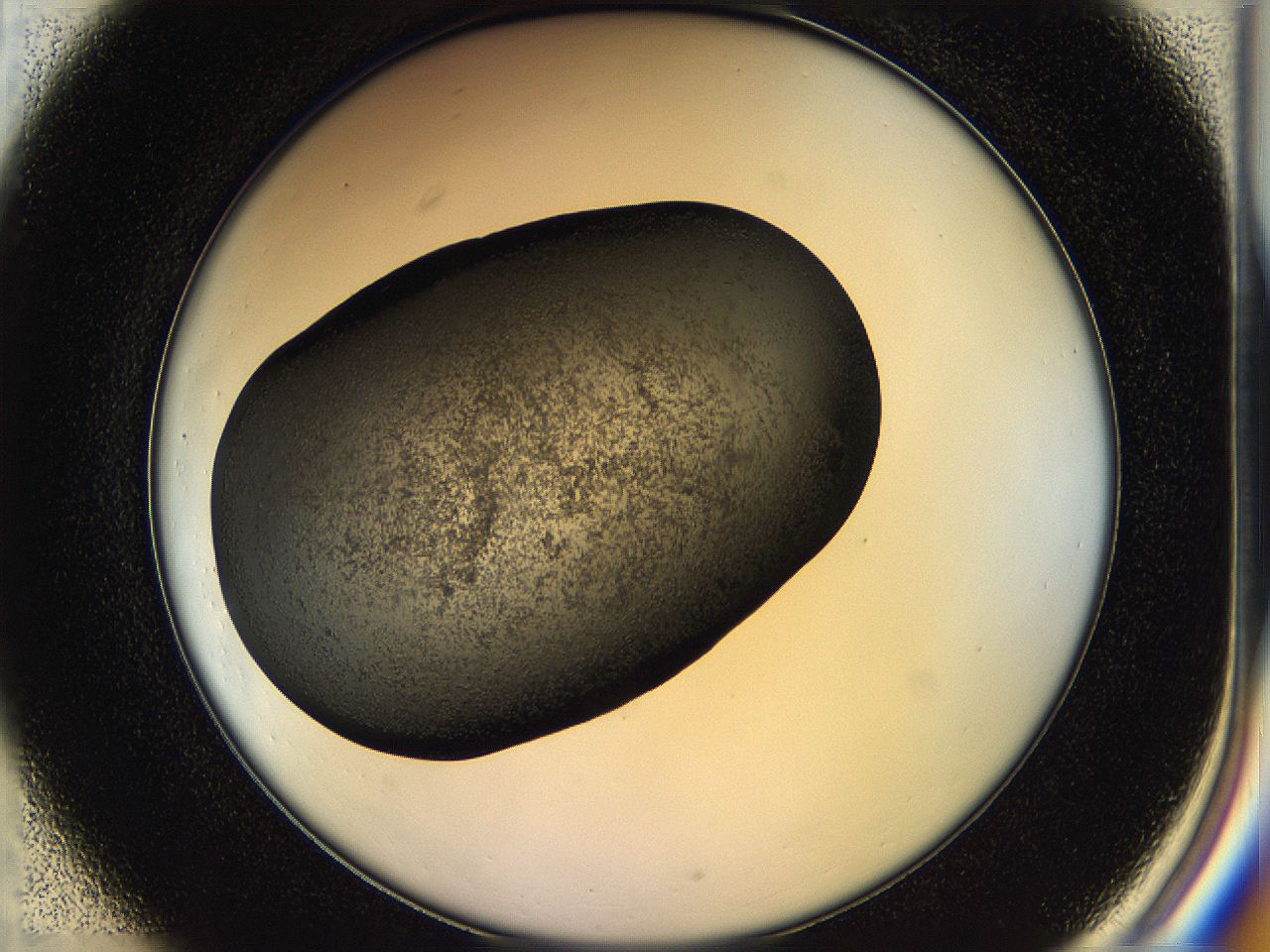 05hl_C1_ImagerDefaults_6.jpg