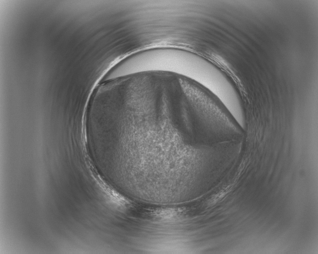 X0000054300892200508042307.png
