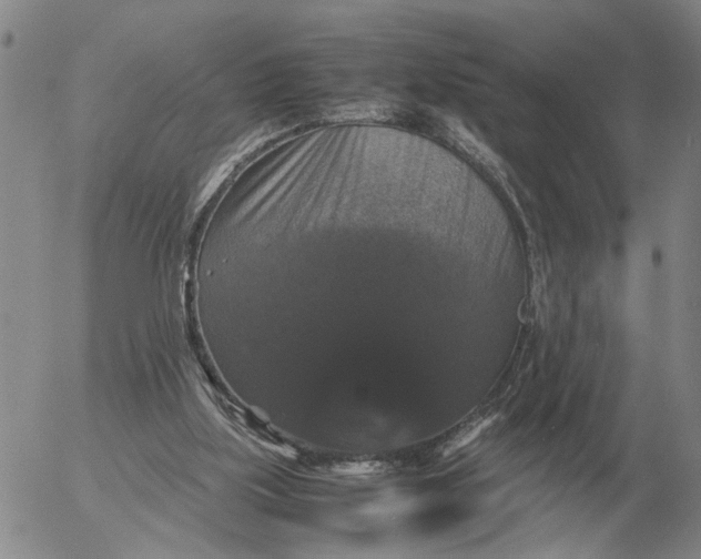 X0000054170059200508101810.png