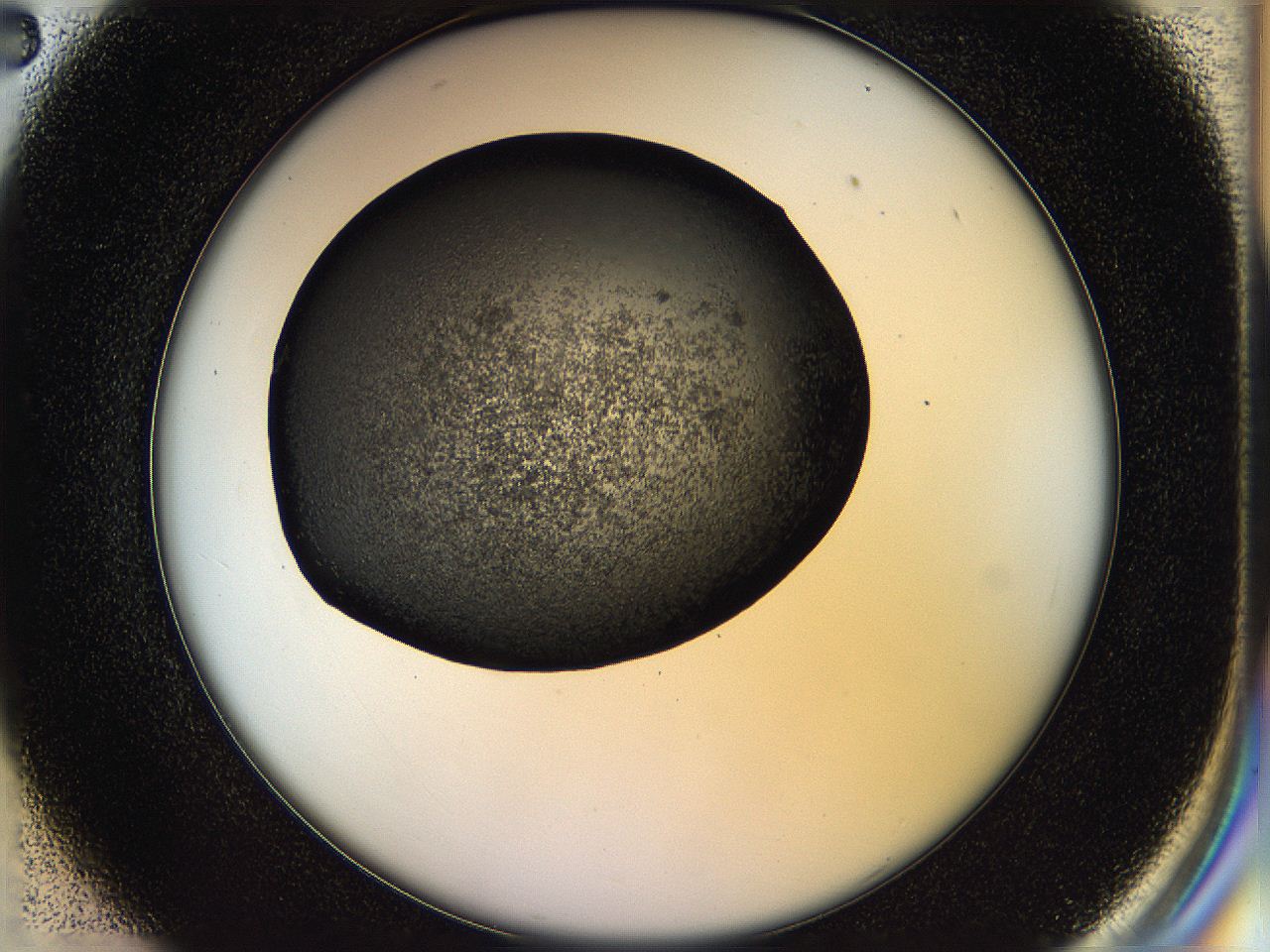 05hl_C2_ImagerDefaults_6.jpg