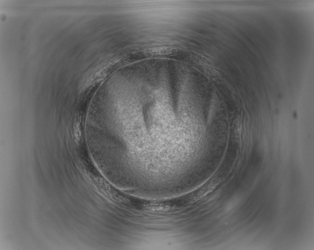 X0000054650746200508091641.png