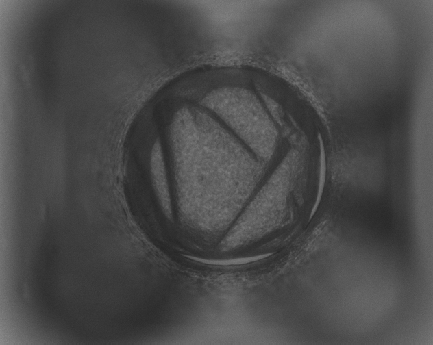 X0000044230673200501101639.png