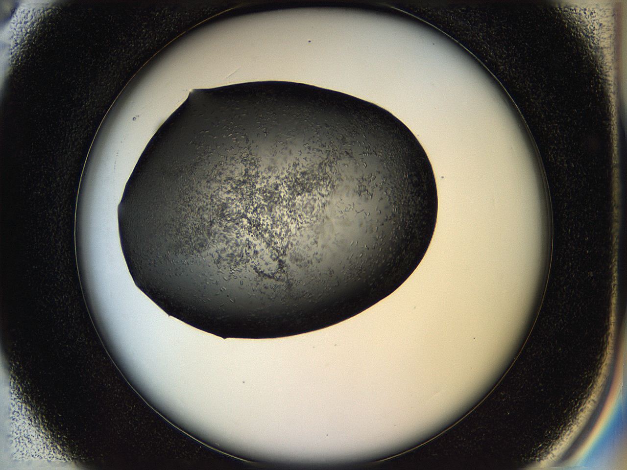 05hl_C3_ImagerDefaults_6.jpg