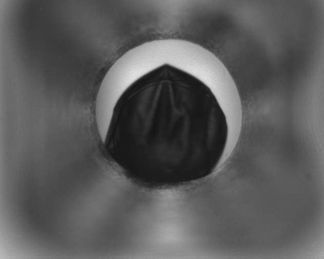X0000054730187200508171901.png