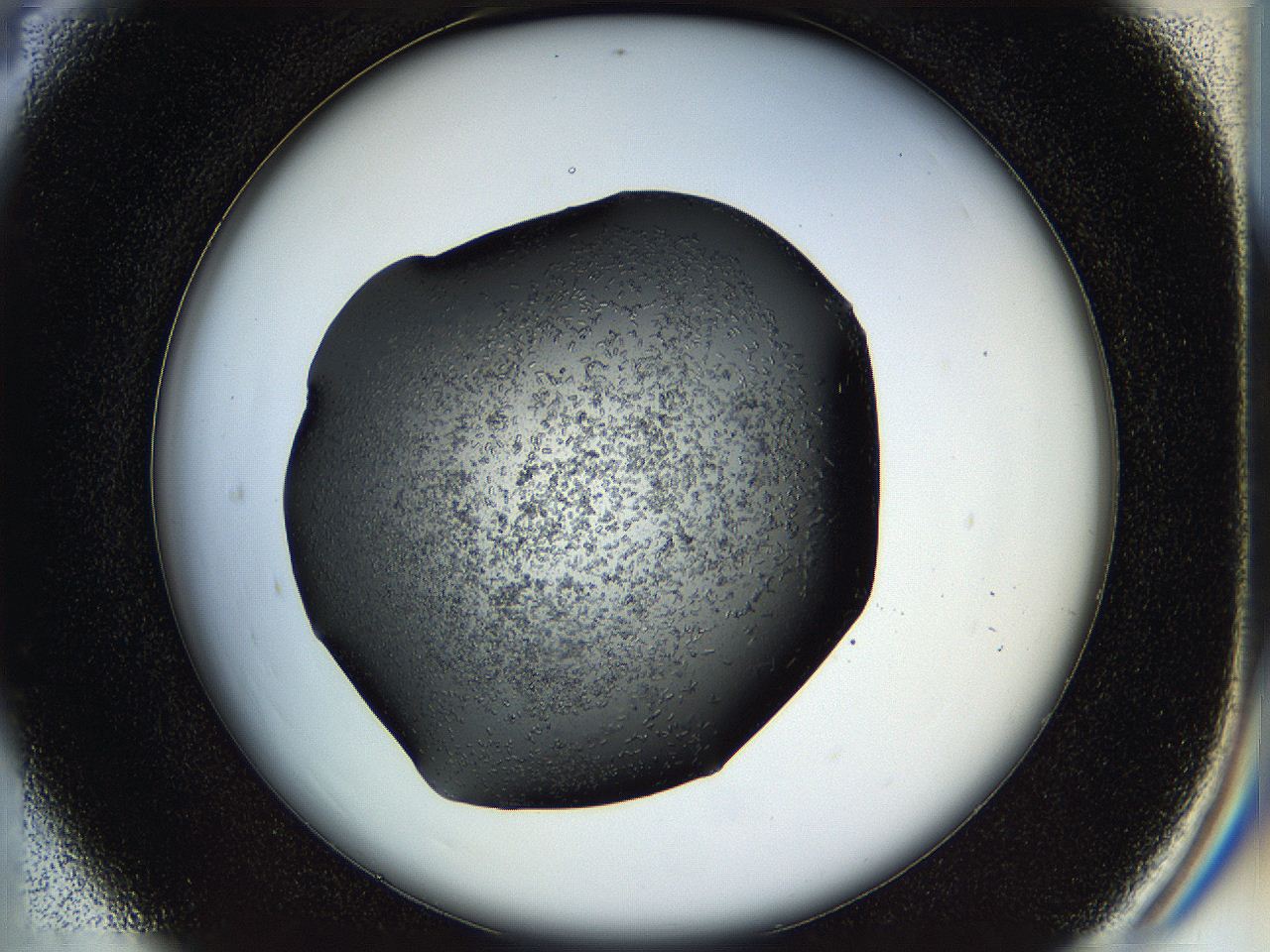 05hl_C4_ImagerDefaults_6.jpg