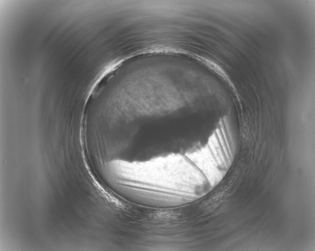X0000054350847200508190126.png