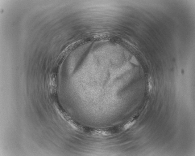 X0000055070276200508232336.png