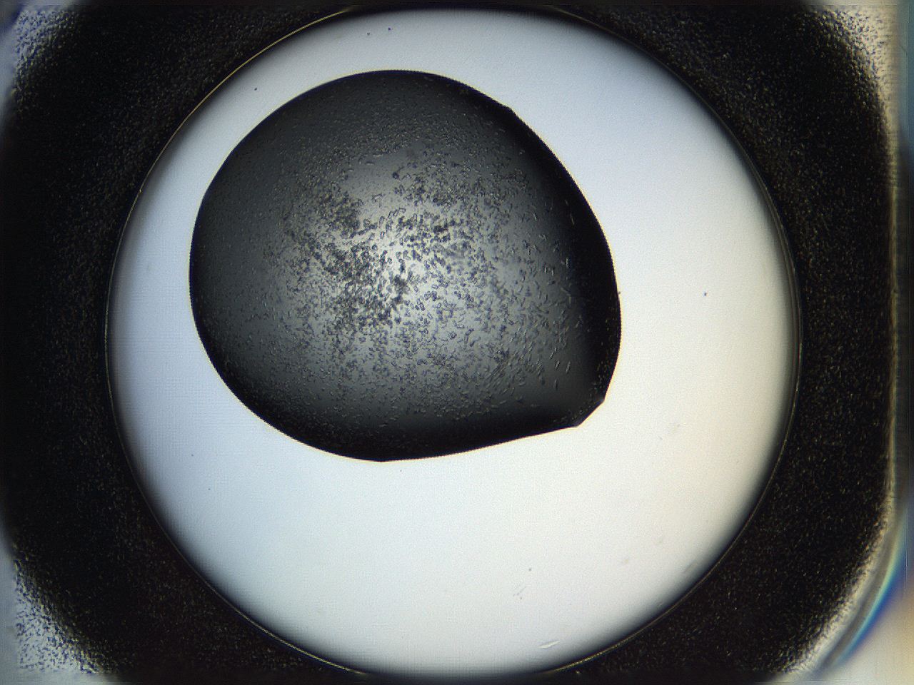 05hl_C5_ImagerDefaults_6.jpg