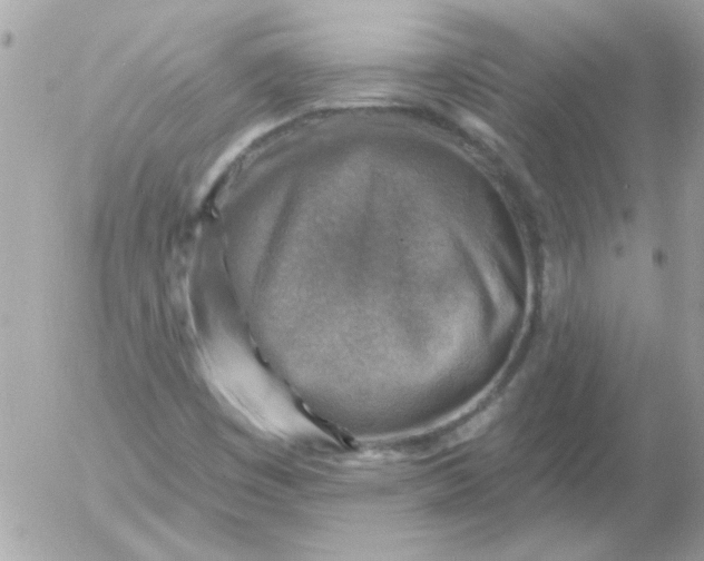X0000055071449200508232317.png