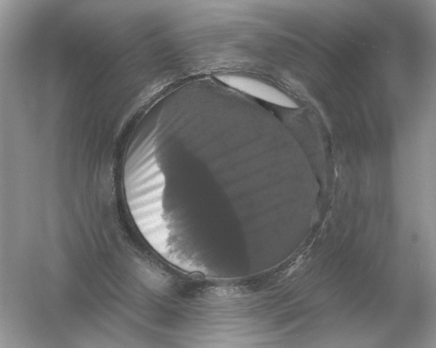 X0000054350250200508190135.png