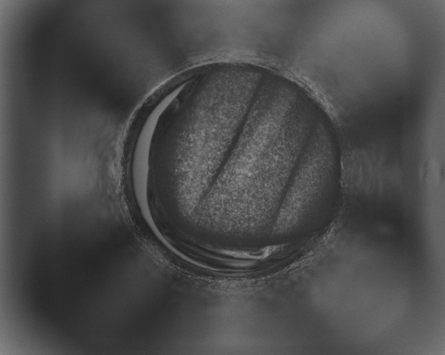 X0000044230780200501101637.png
