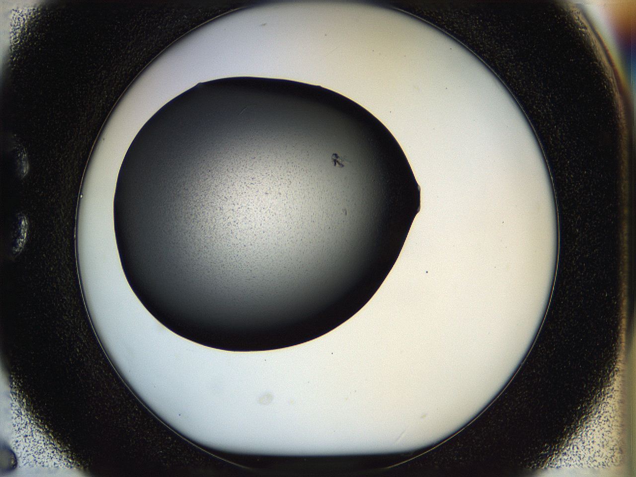 05hl_C6_ImagerDefaults_6.jpg